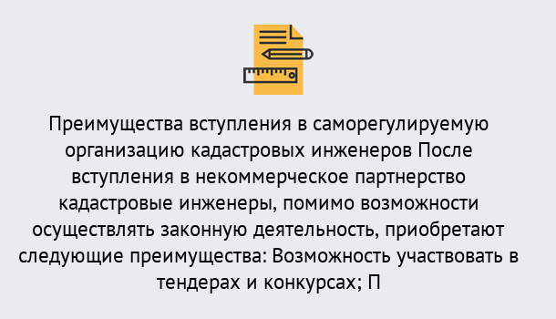 Почему нужно обратиться к нам? Зима Что дает допуск СРО кадастровых инженеров?