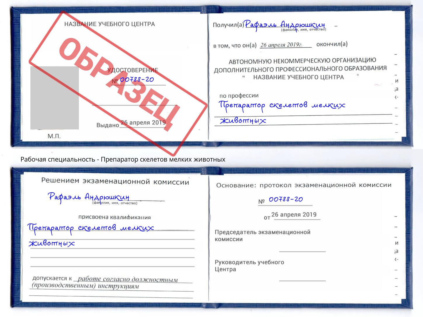 Препаратор скелетов мелких животных Зима