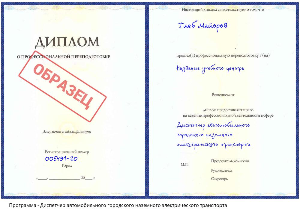 Диспетчер автомобильного городского наземного электрического транспорта Зима