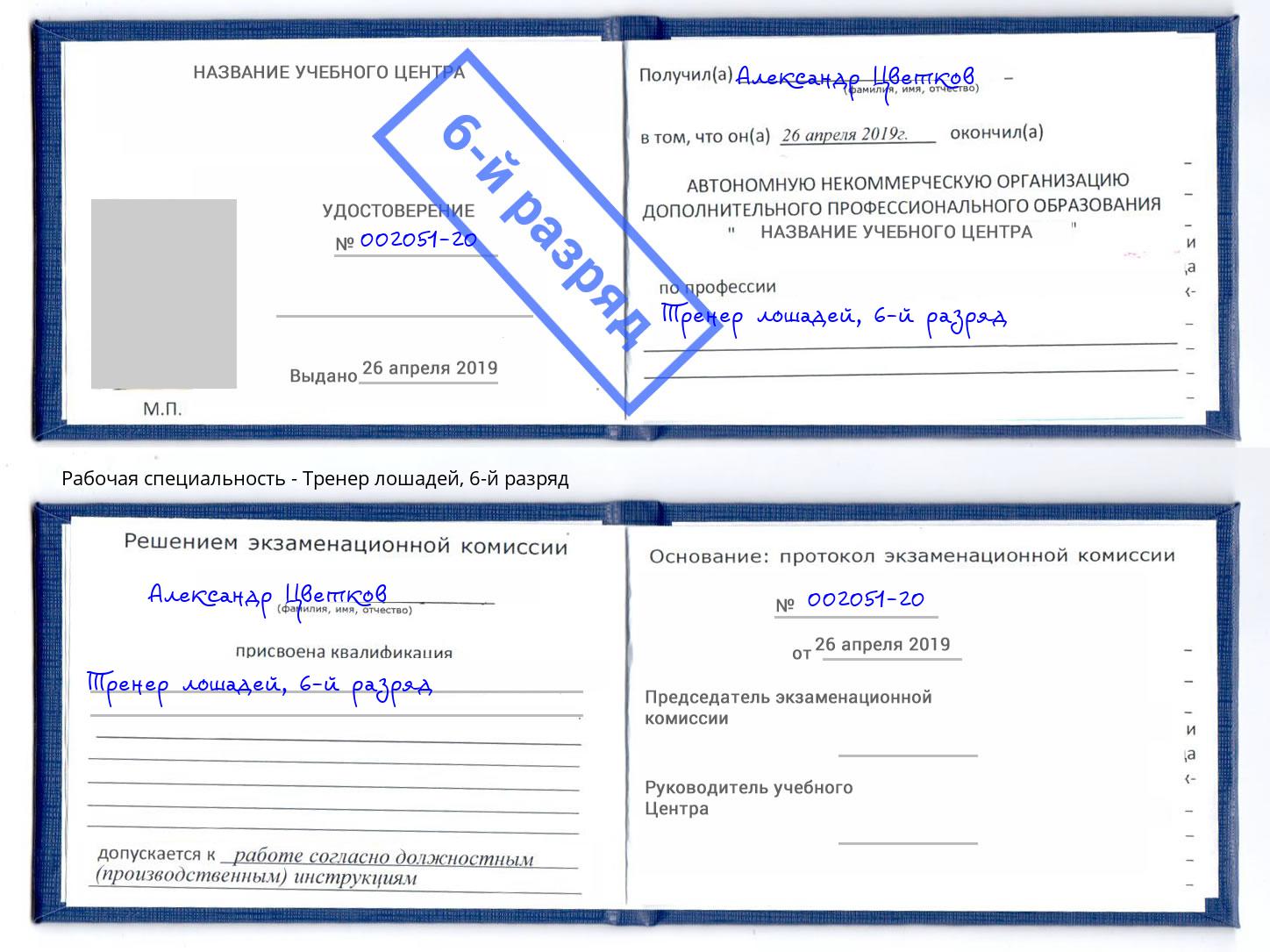 корочка 6-й разряд Тренер лошадей Зима