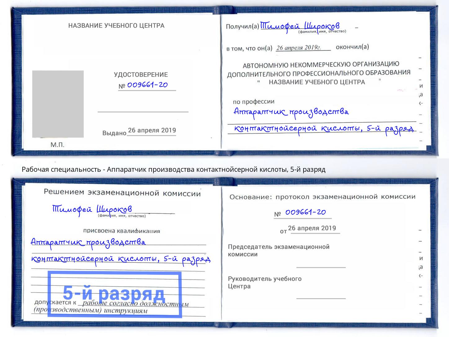 корочка 5-й разряд Аппаратчик производства контактнойсерной кислоты Зима