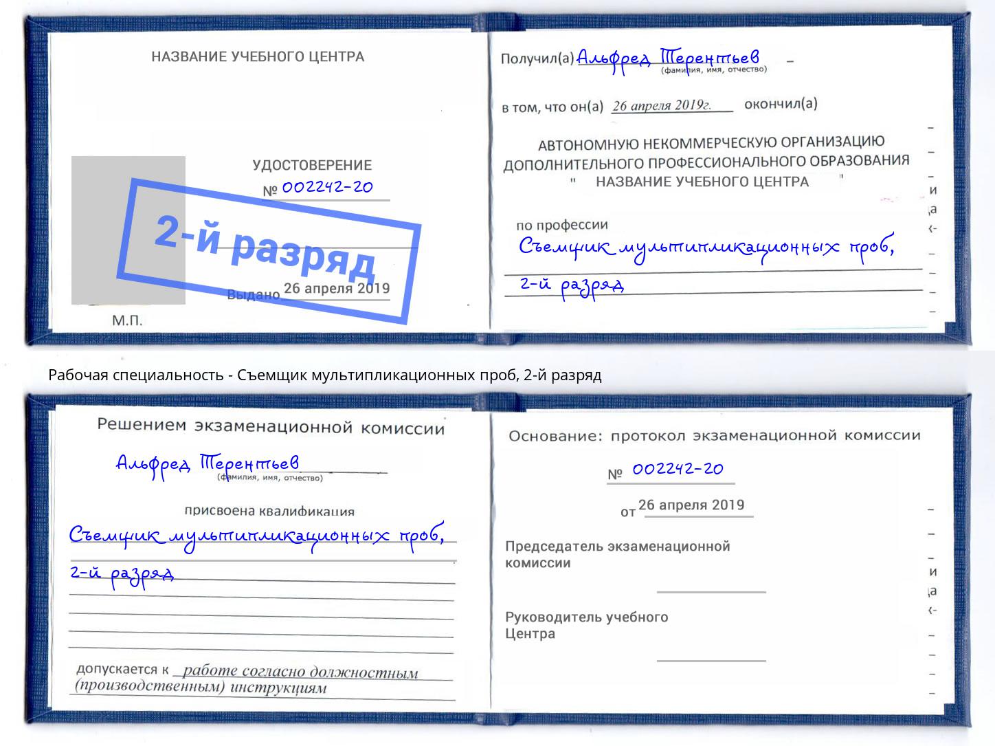 корочка 2-й разряд Съемщик мультипликационных проб Зима