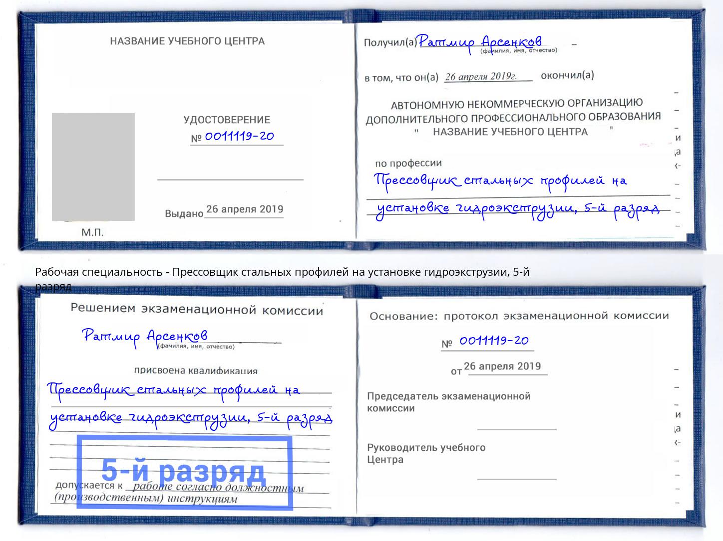 корочка 5-й разряд Прессовщик стальных профилей на установке гидроэкструзии Зима