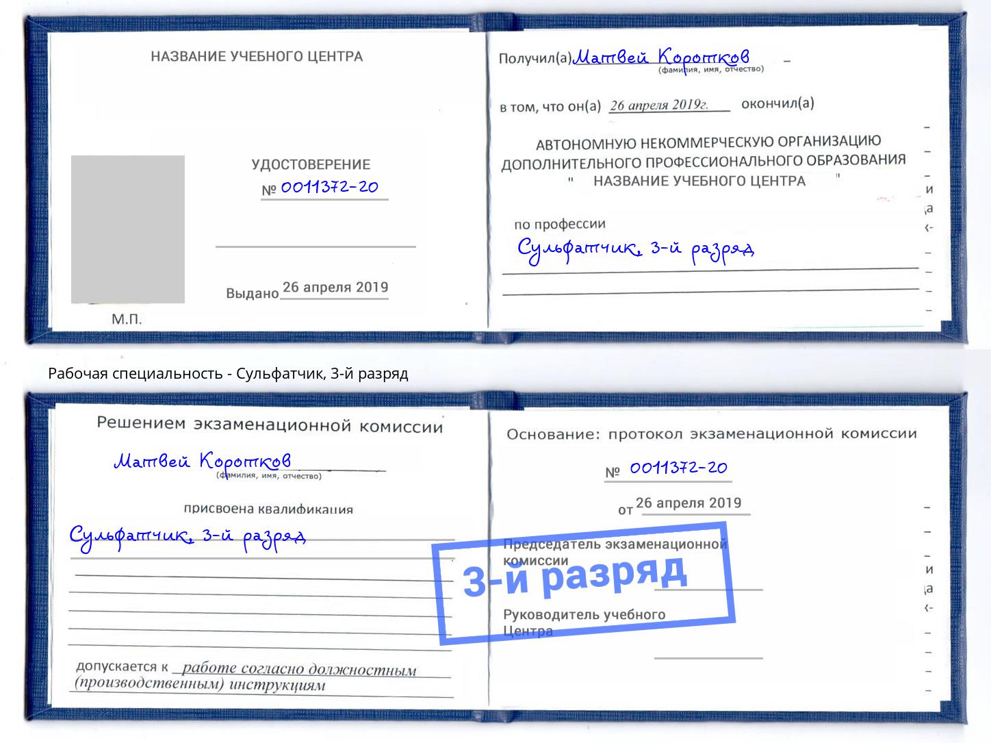 корочка 3-й разряд Сульфатчик Зима