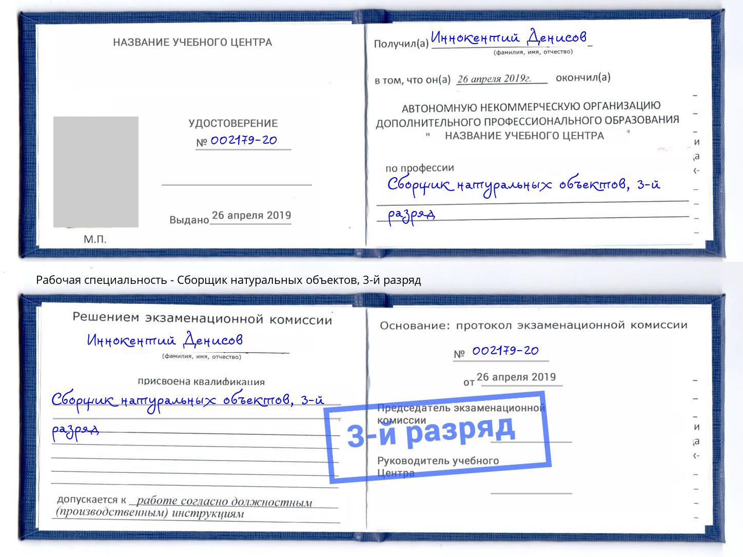 корочка 3-й разряд Сборщик натуральных объектов Зима