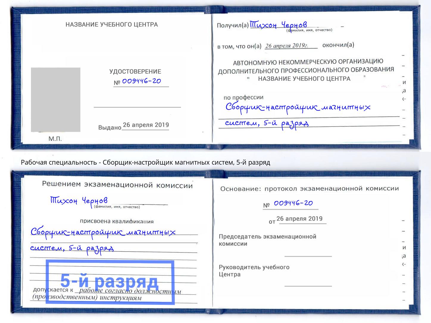 корочка 5-й разряд Сборщик-настройщик магнитных систем Зима