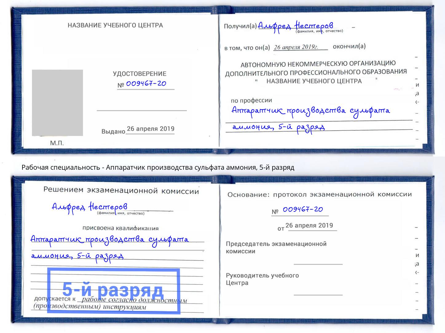 корочка 5-й разряд Аппаратчик производства сульфата аммония Зима
